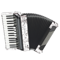 Hohner   mod . Amica III 72