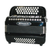 Mengascini  С 30 M.B